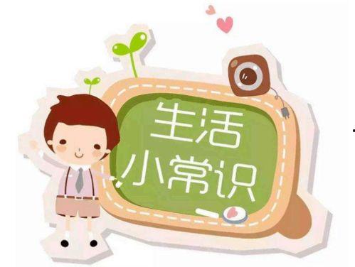 娱乐吃瓜酱每天使用小知识,娱乐吃瓜酱带你轻松涨姿势